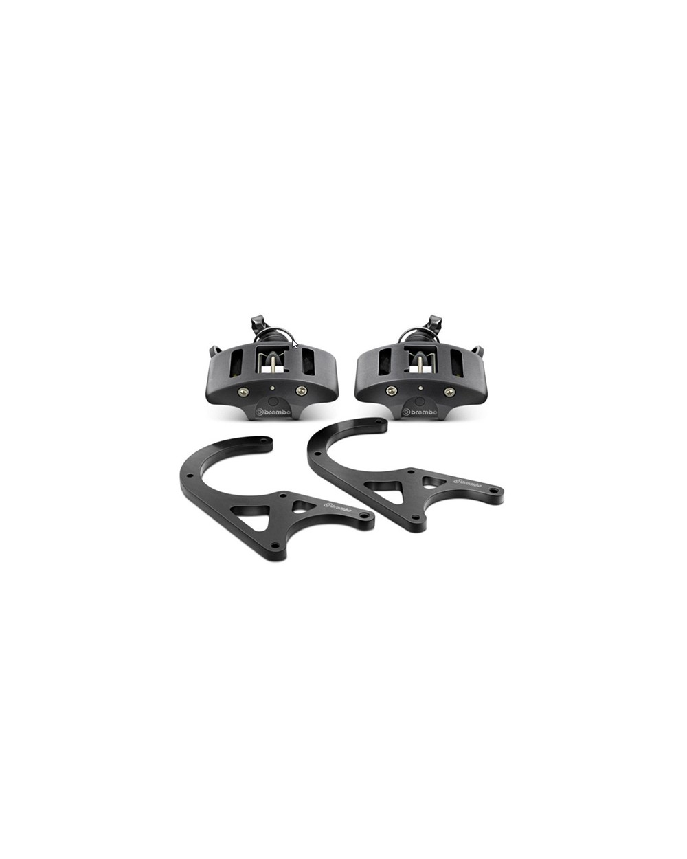 Brembo GT Brake Kit Rear – ACURA NSX - 2D08002A